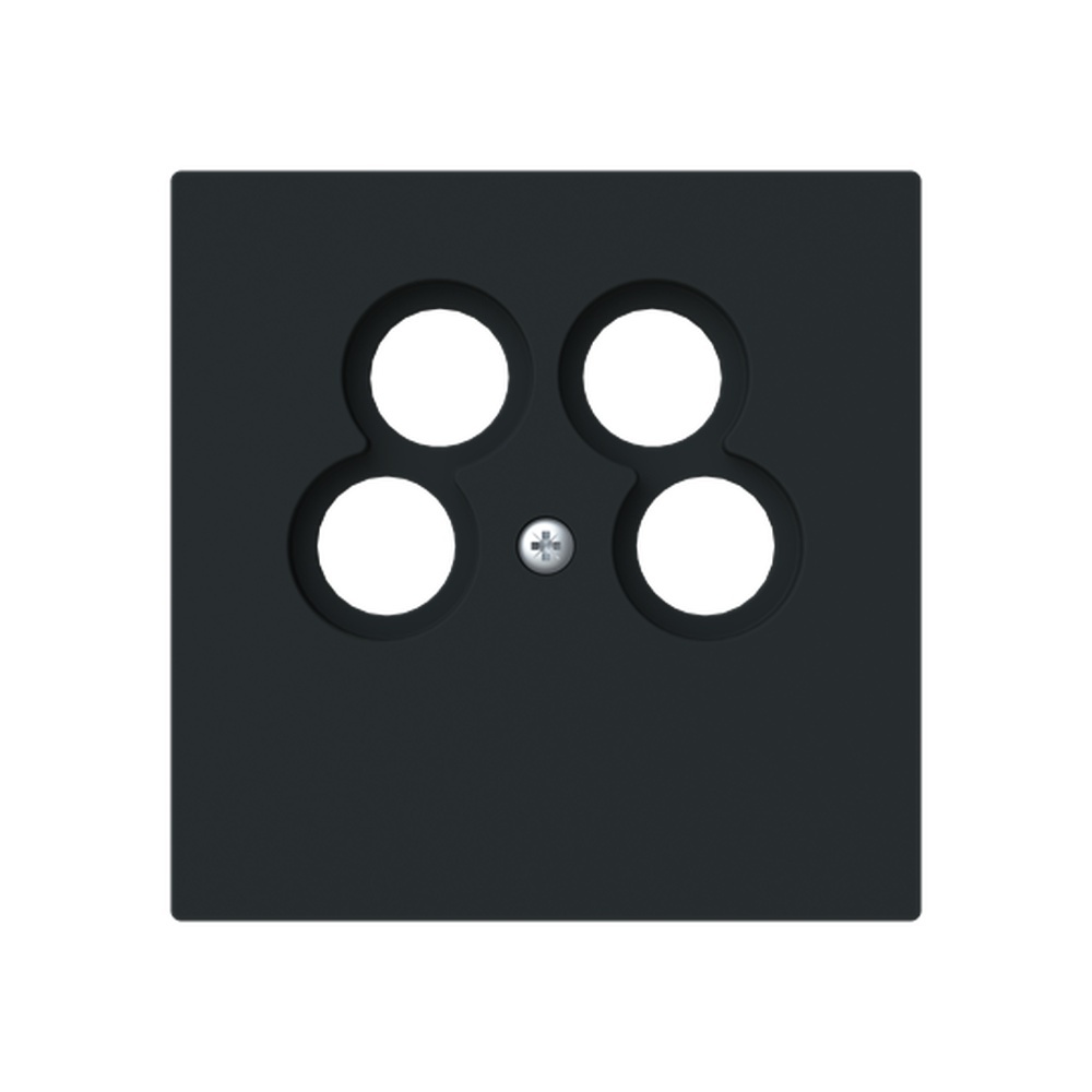 Busch-Jaeger Zentralscheibe 1743/10-04-45M Typ 2CKA001724A4443