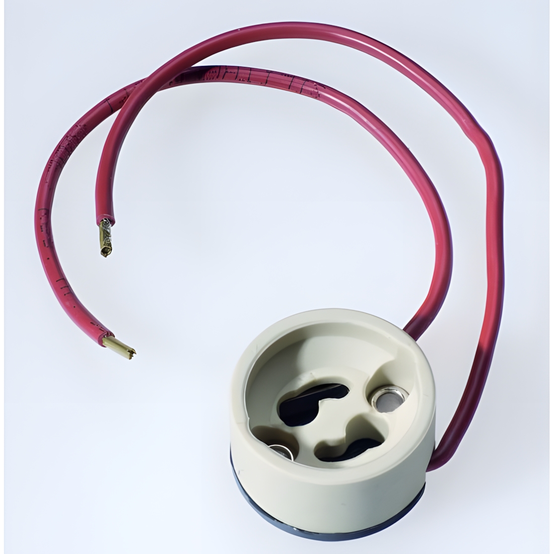 Schaum Halofassung 231026