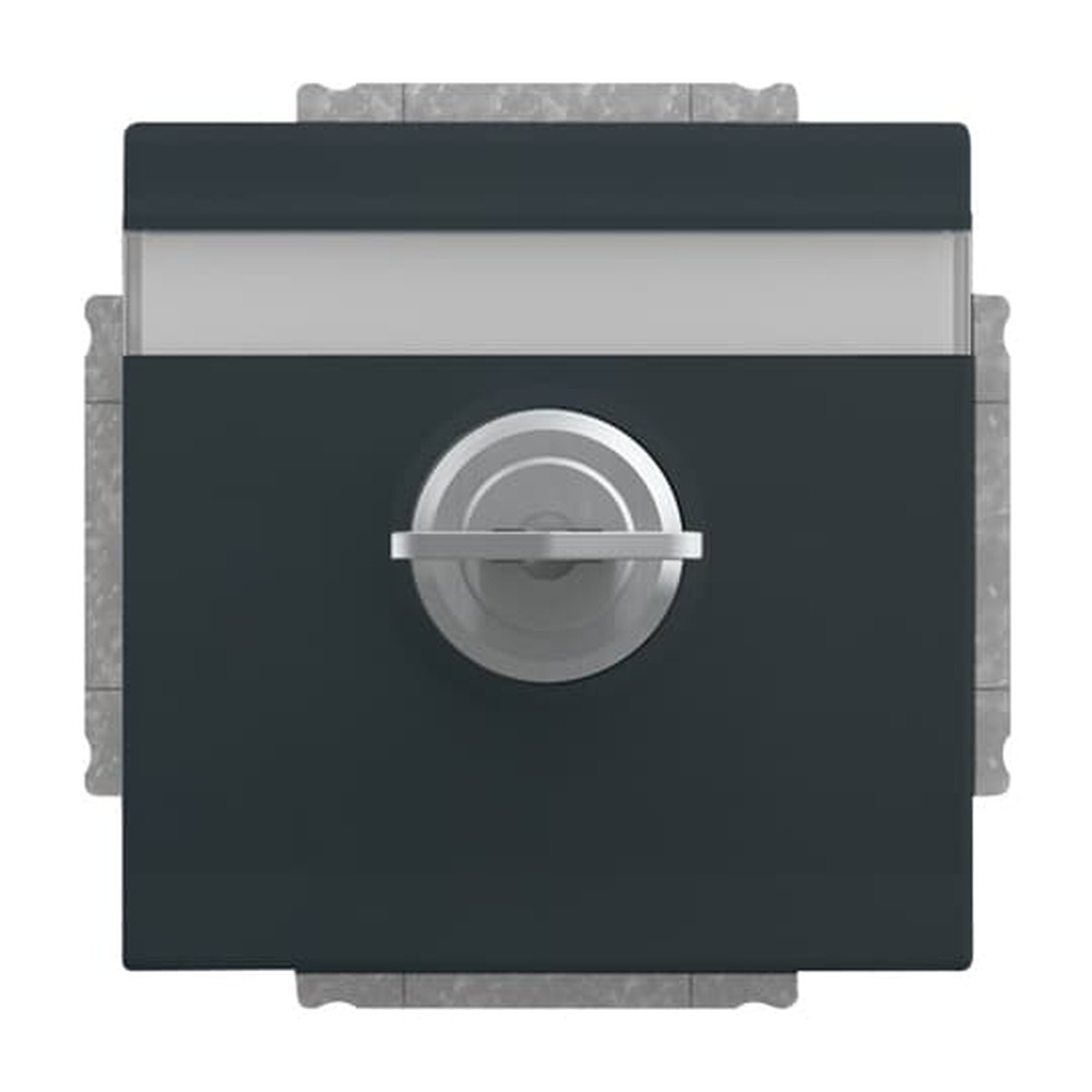 Busch-Jaeger SCHUKO Steckdosen Einsatz 20 EUKNBSL-81 Nr. 2CKA002018A1557