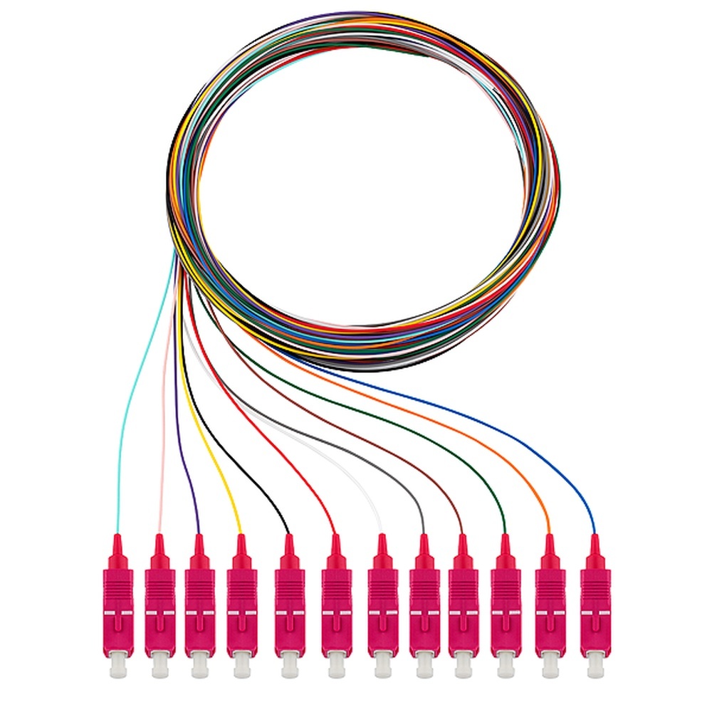 Rutenbeck Pigtail 228040602 Typ Pigtails 12xSC OM4 2m