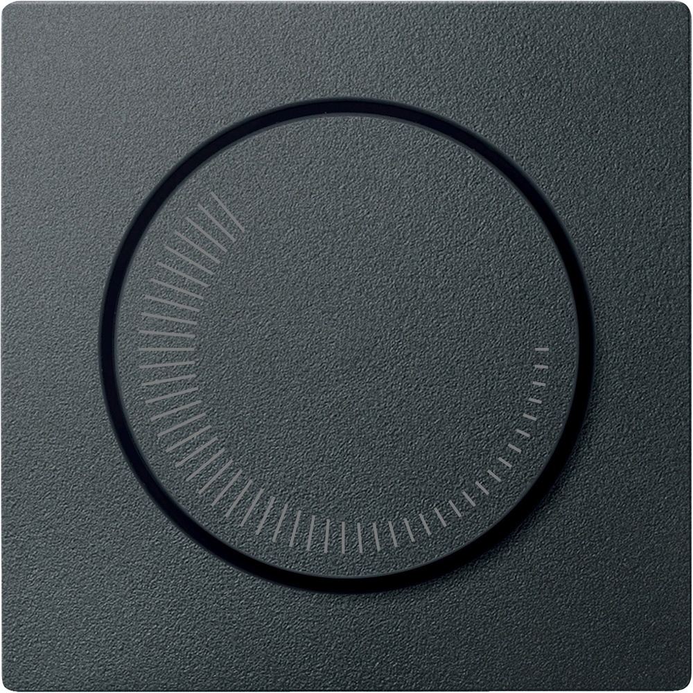 Merten Zentralplatte MEG5251-0414