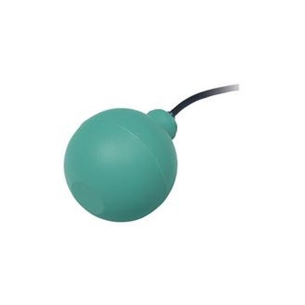 Pepperl+Fuchs Schwimmschalter 70124504 Typ LFL2-BK-U-PUR15-EMS