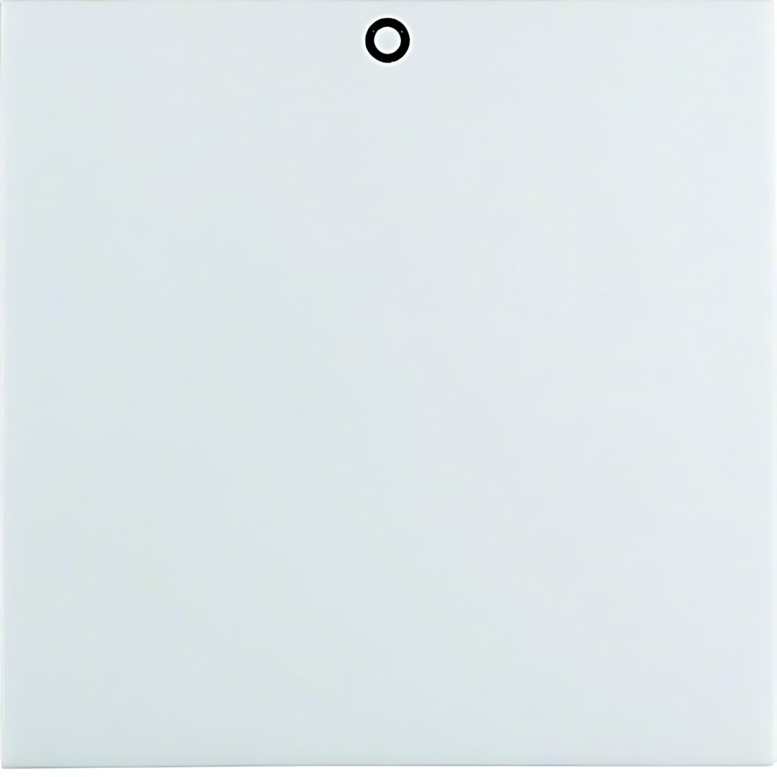 Berker Wippe 16228989