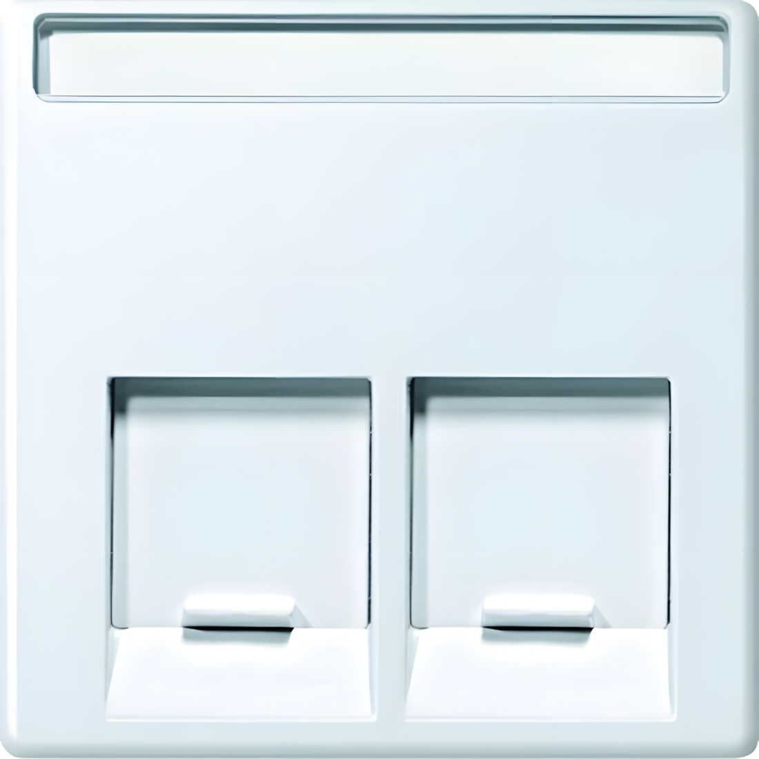 Merten Zentralplatte MEG4574-0419