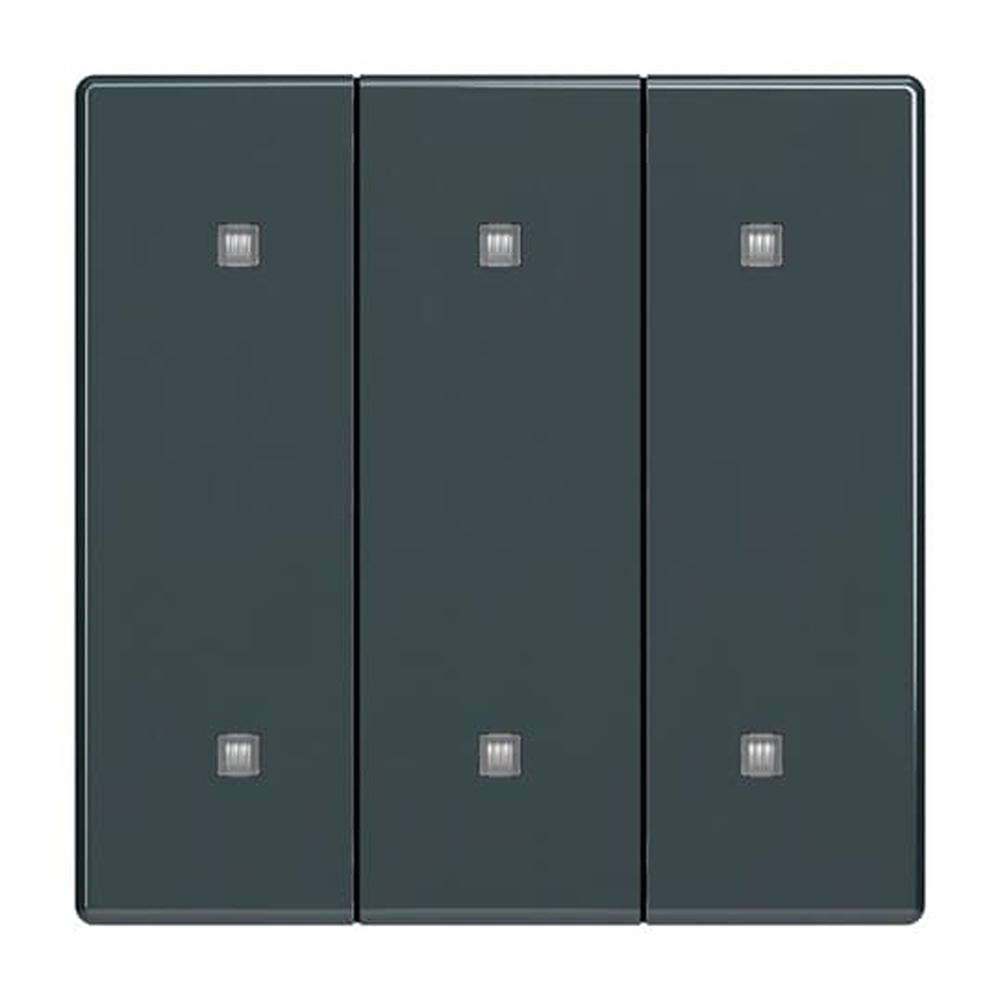 Busch-Jaeger Wippe Elektroniktaster 3fach 2570-30-81 Nr. 2CKA001751A3283