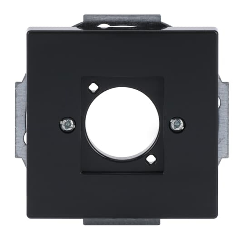 Busch-Jaeger XLR Zentralscheibe 2553-81 Nr. 2CKA001724A4399