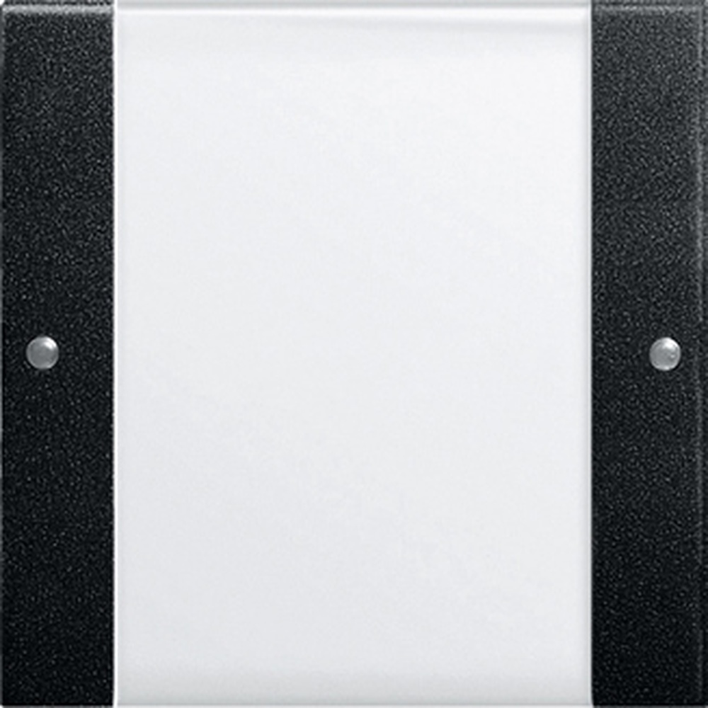 Gira Wippenset 2131005