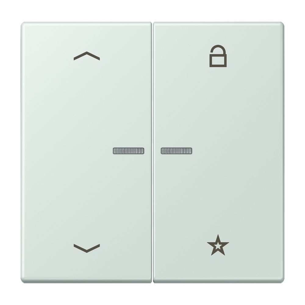 Jung Taster FMLC1701P215