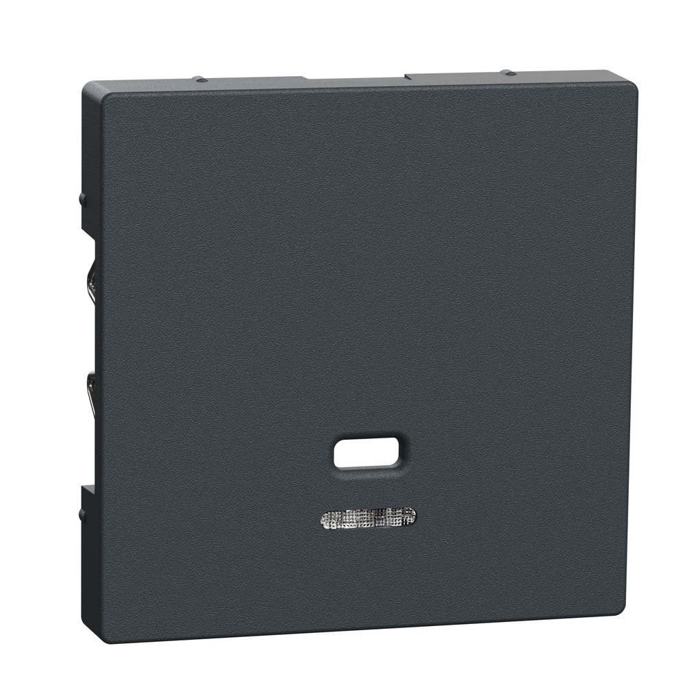 Merten Zentralplatte MEG3380-0414