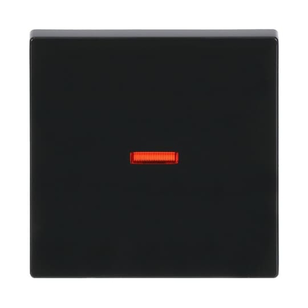 Busch-Jaeger Wippe 1789-81 Nr. 2CKA001751A2928