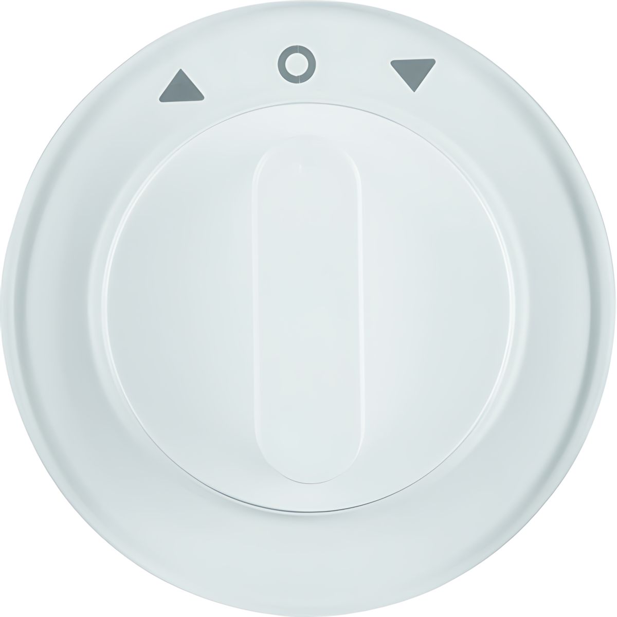 Berker Zentralstück m. Drehknopf 1080208900