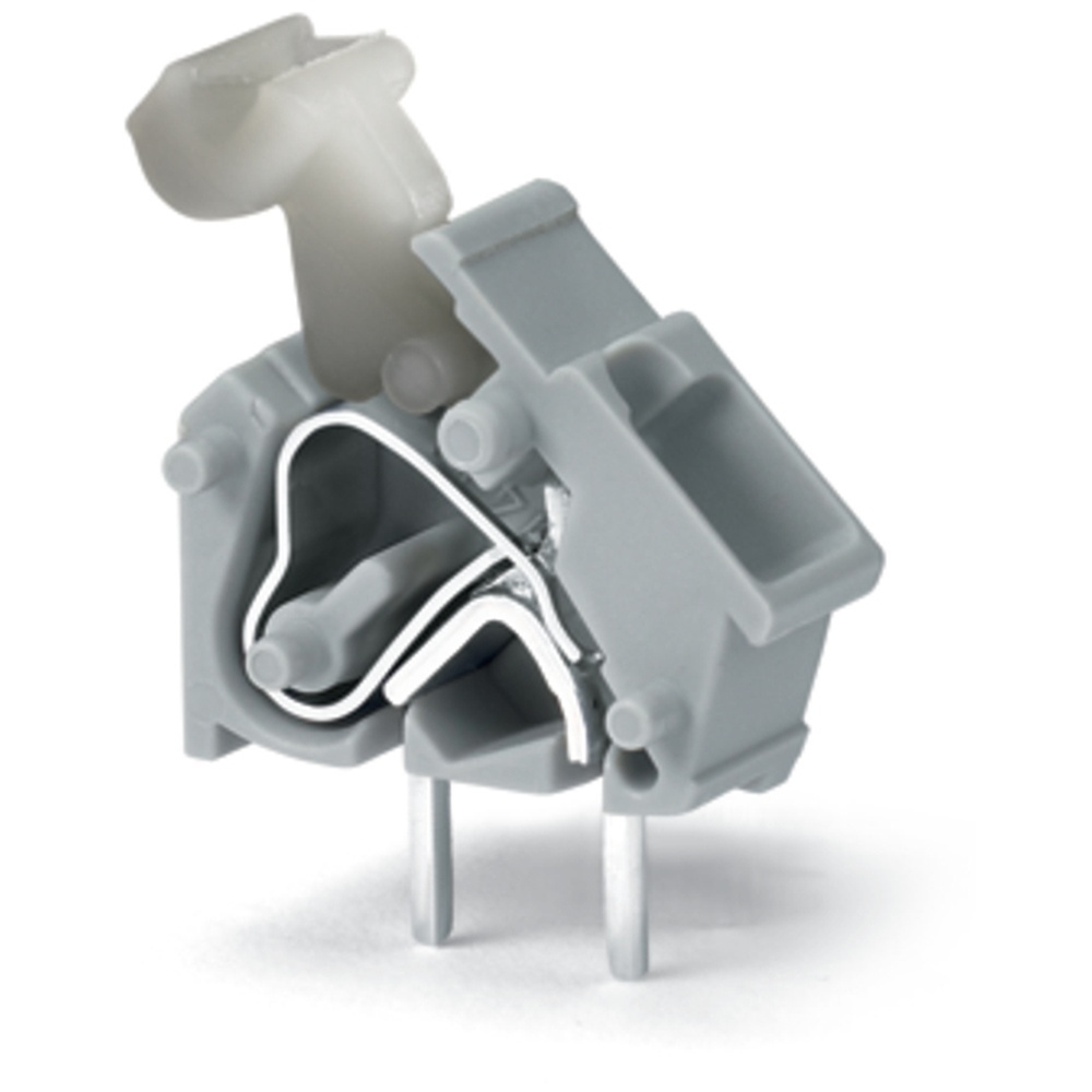 Wago Einzelklemme 256-843