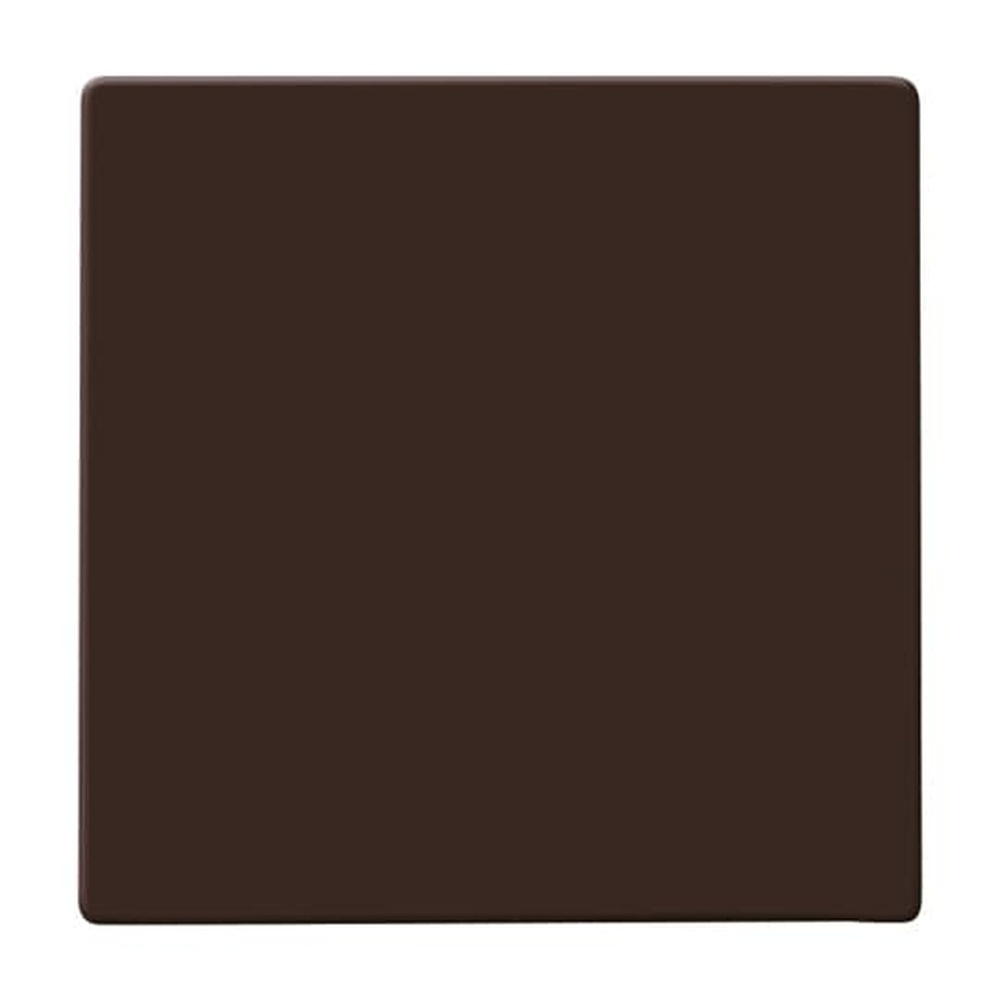 Busch-Jaeger Wippe 2106-31 Nr. 2CKA001731A1962