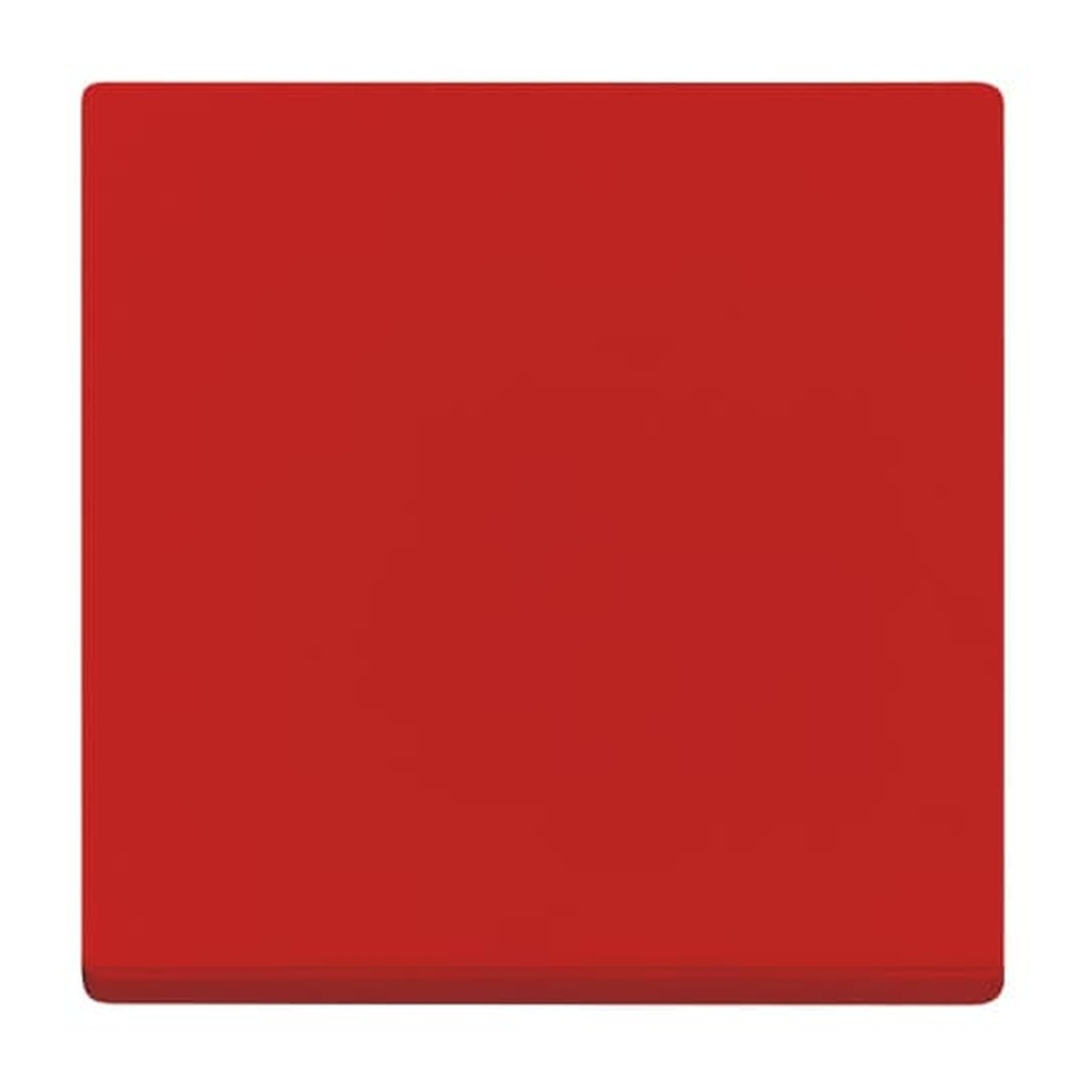 Busch-Jaeger Wippe 2506-917 Nr. 2CKA001731A2003