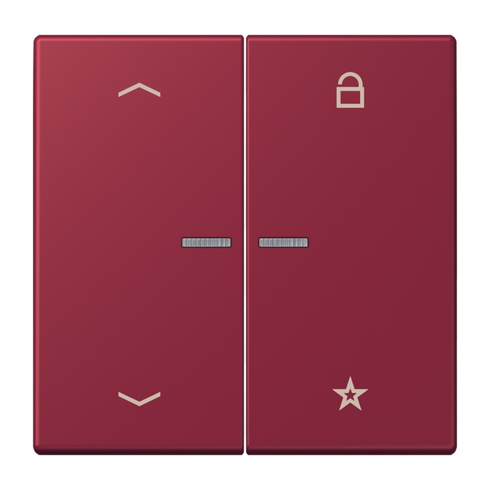 Jung Taster FMLC1701P255