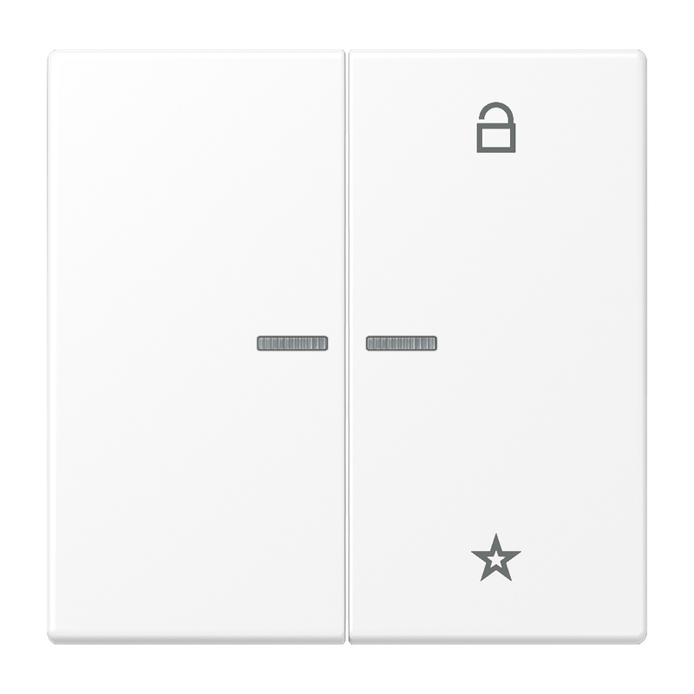 Jung eNet Funk Steuertaste 2fach FMLS1701WWM