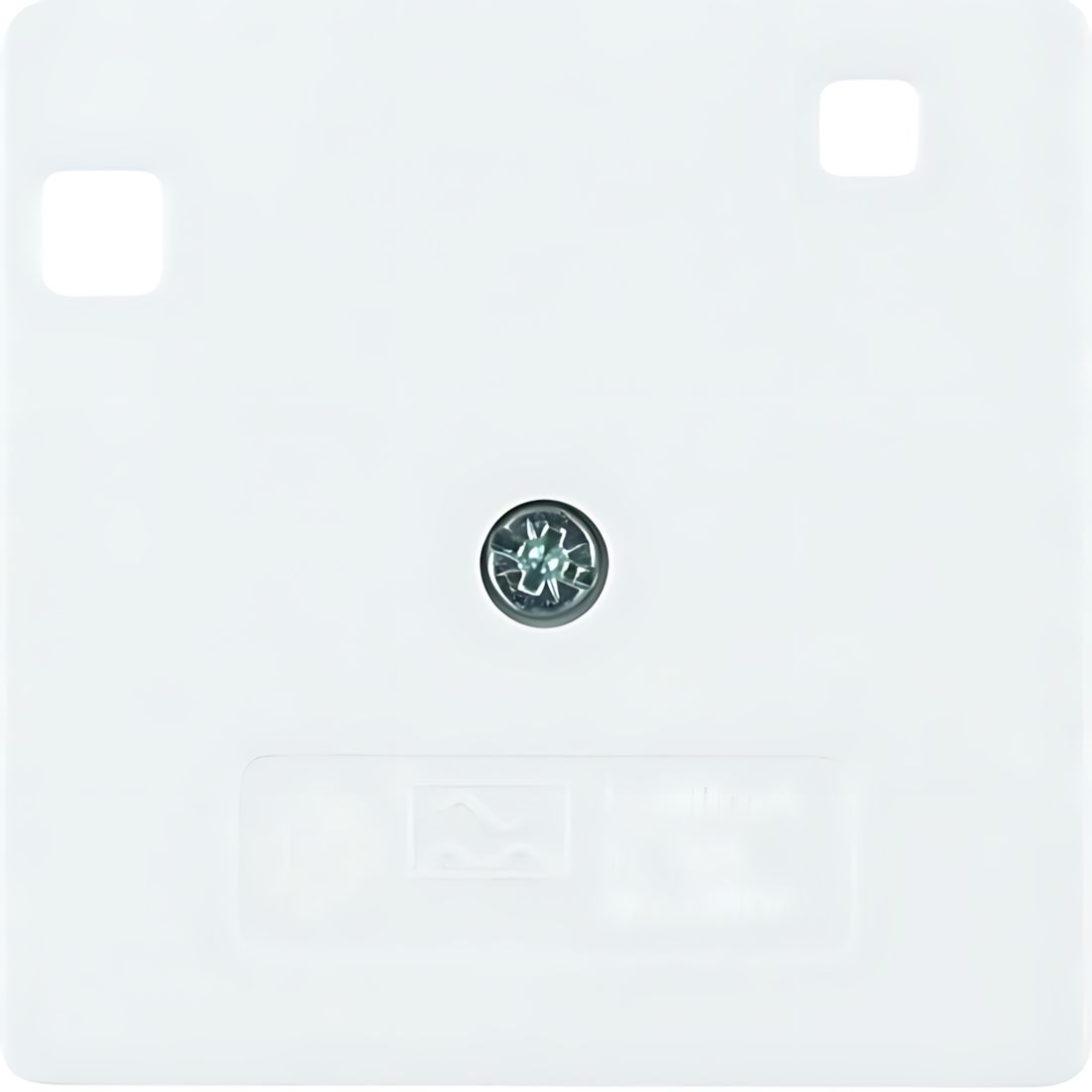 Berker Zentralstück 149609