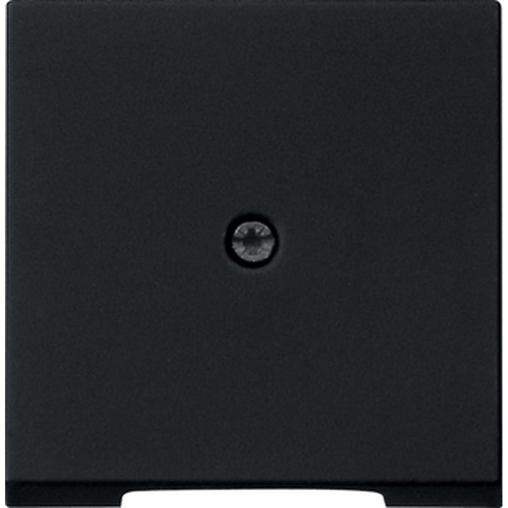 Gira Abdeckung 0274005