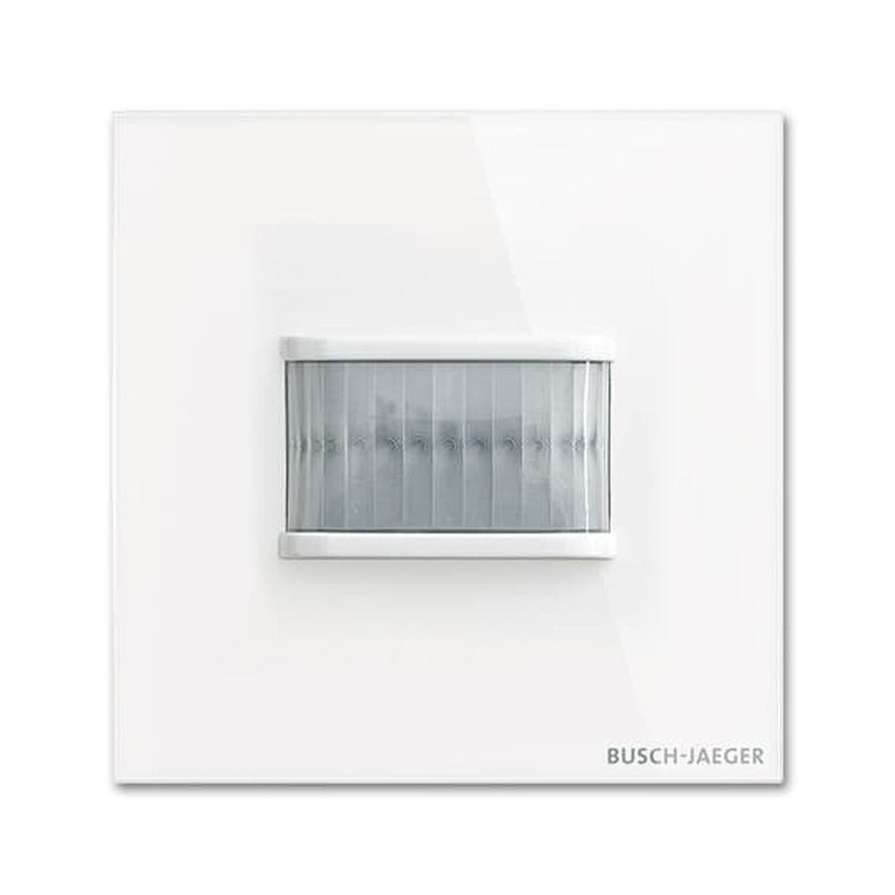 Busch-Jaeger Wächter TBW/U.1.11-CG Nr. 2CKA006300A1568