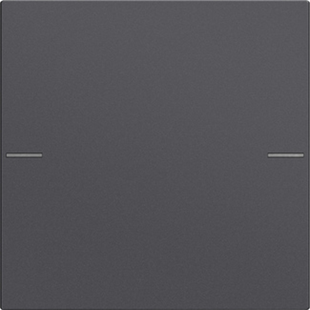 Gira Wippenset 1fach 575128