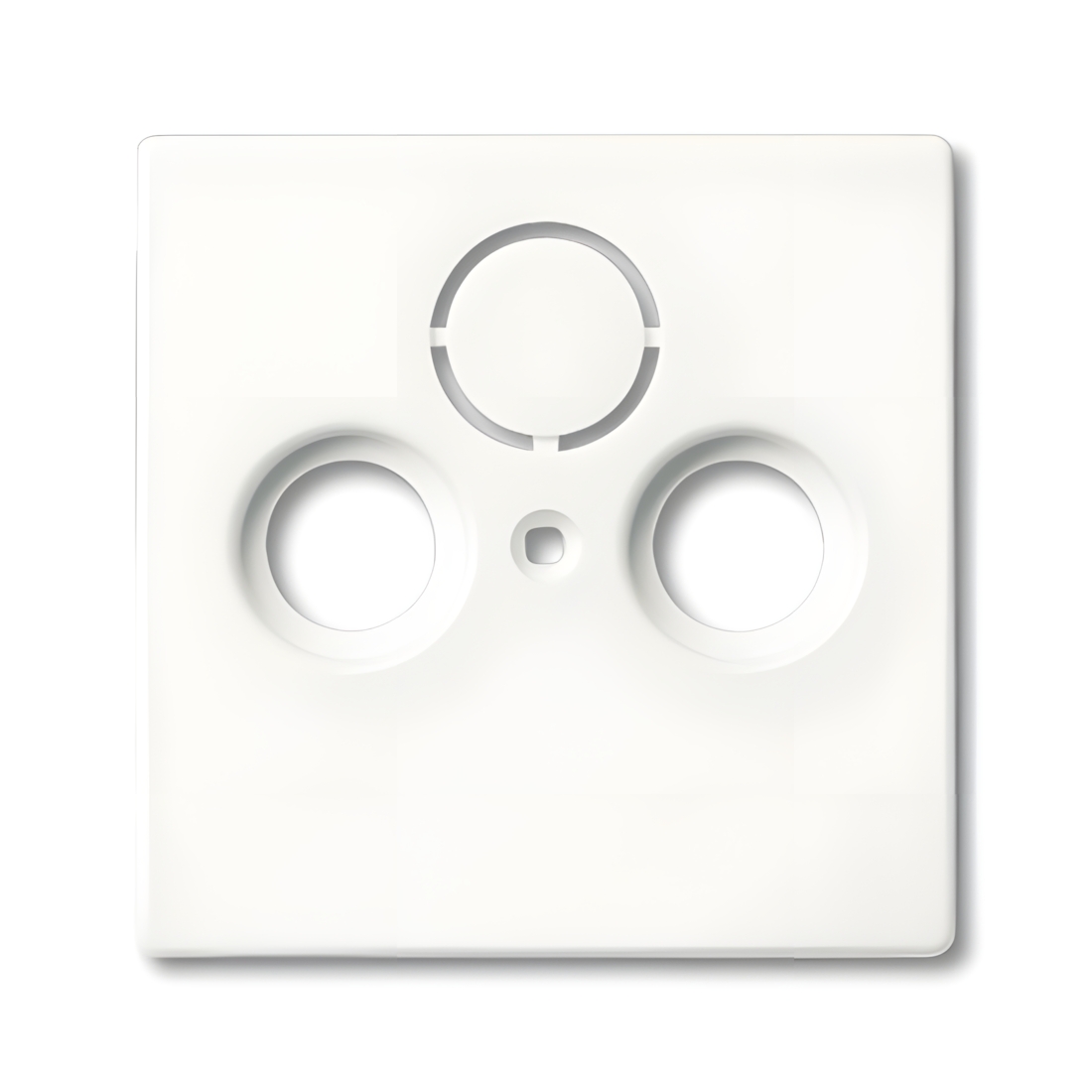 Busch-Jaeger Zentralscheibe 1743-884 Nr. 2CKA001724A4293