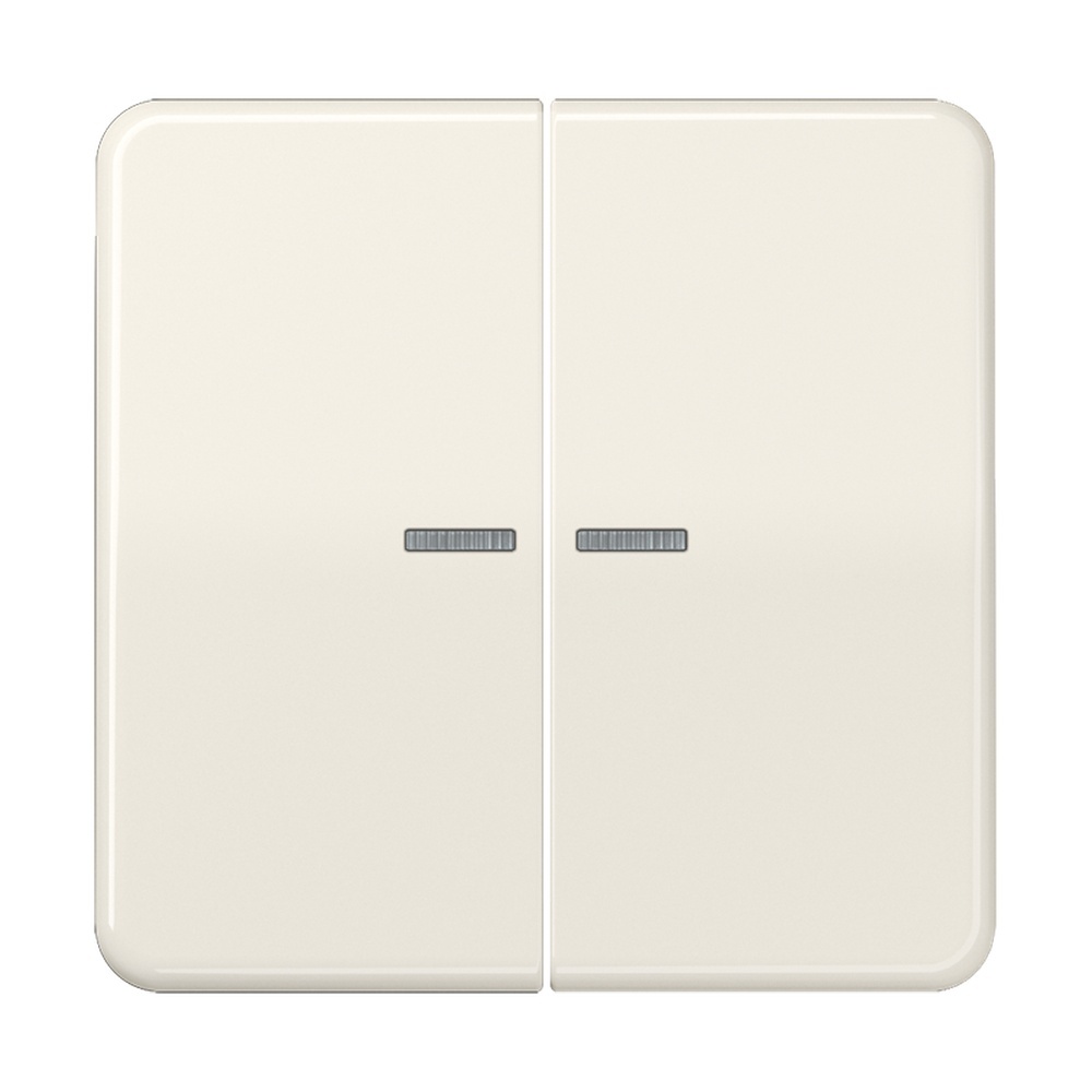 Jung Wippe CD 595 KO5