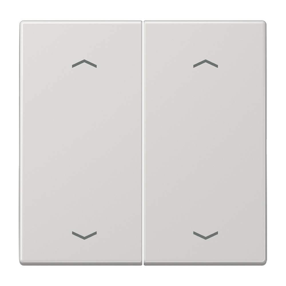 Jung Serienwippe LS102PLG