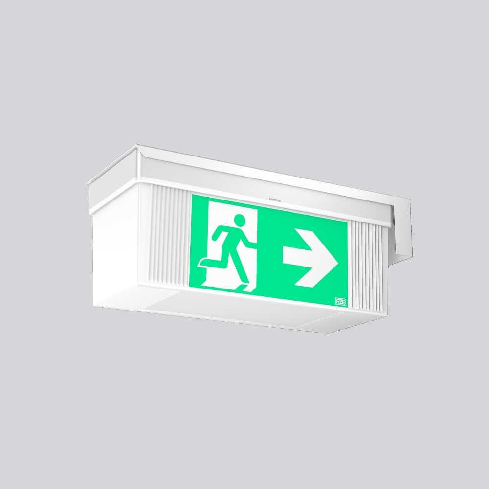 RZB Auslegerwinkel 981485.002