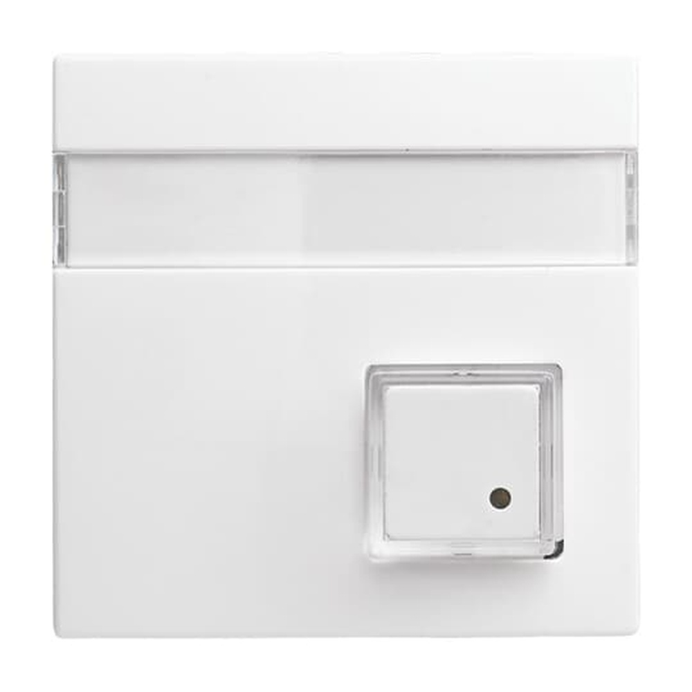 Busch-Jaeger Zentralscheibe 1571 CN-914 Nr. 2CKA001582A0397