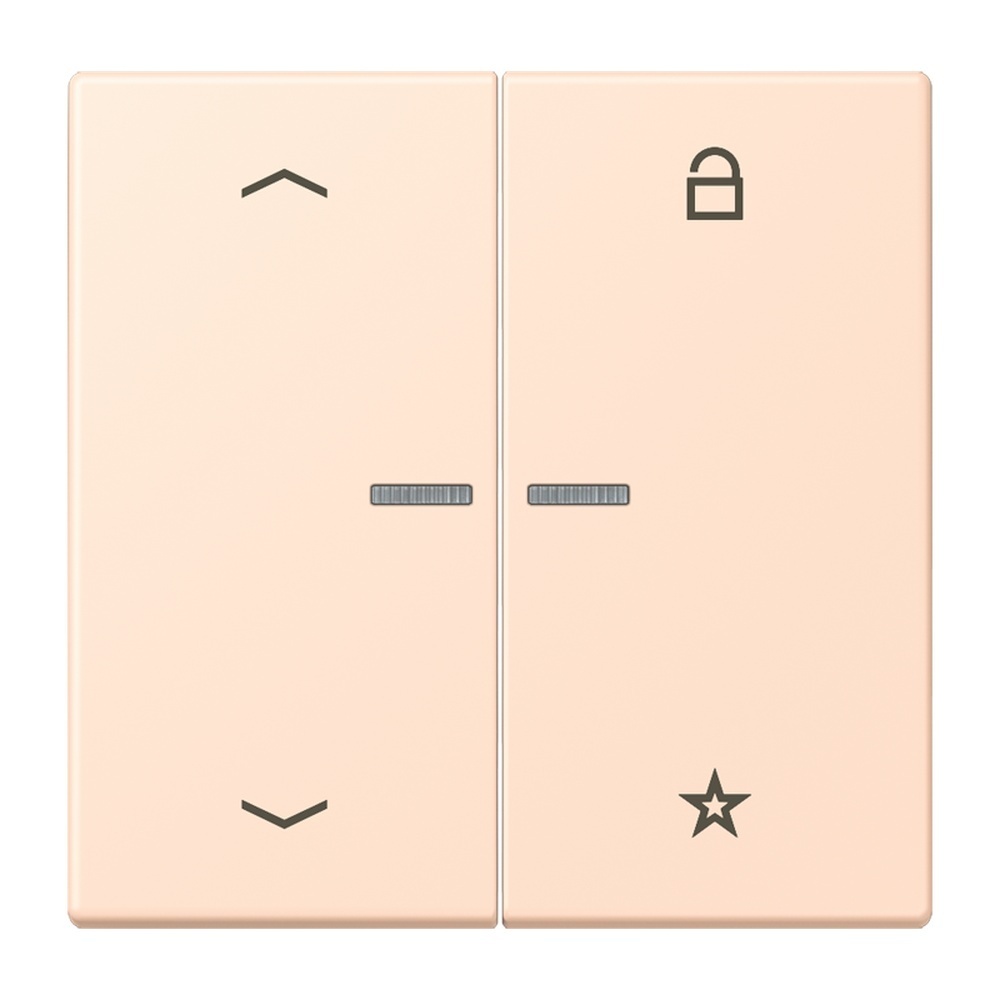 Jung Taster FMLC1701P228