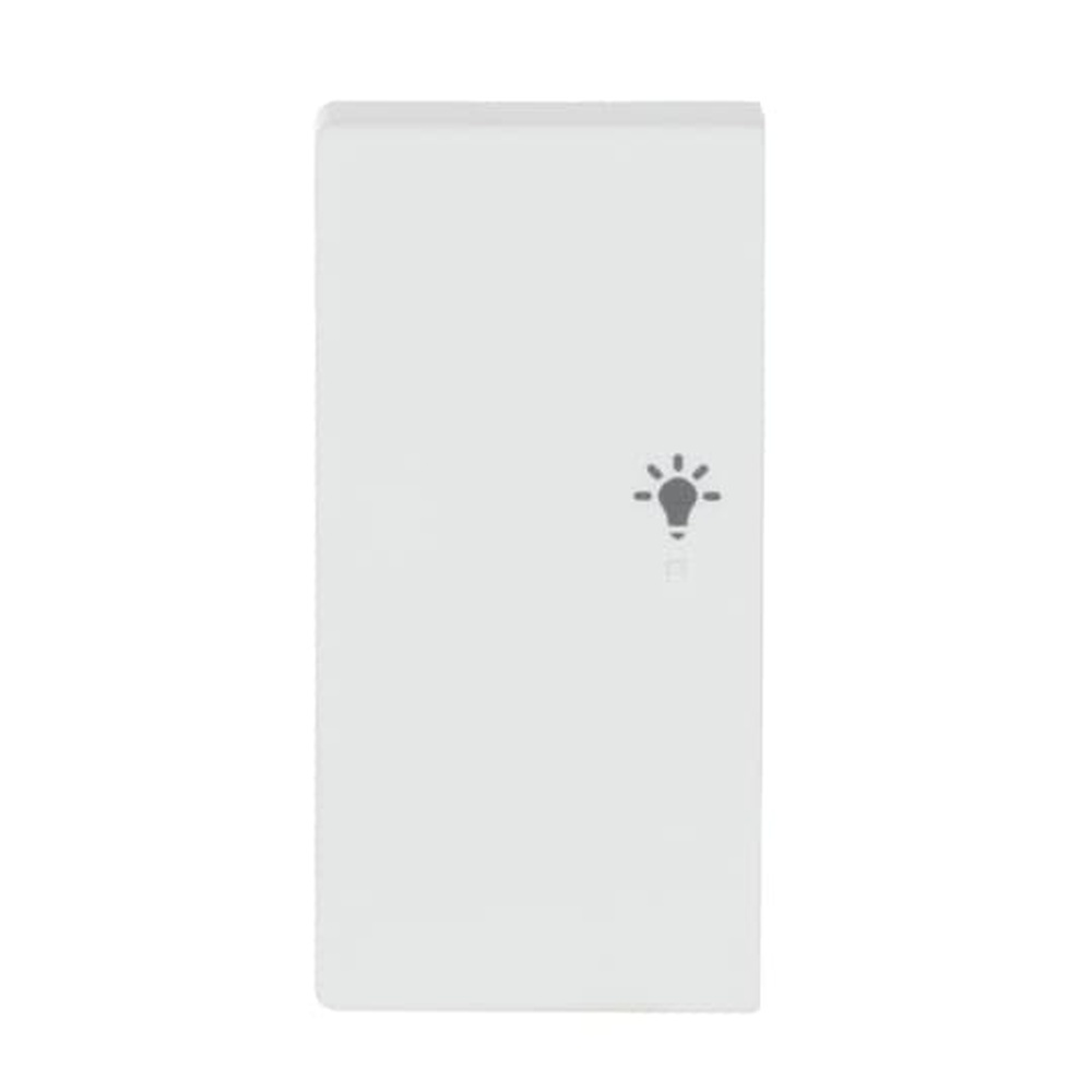 Busch-Jaeger Wippe 6231-21-884 Nr. 2CKA006220A0487