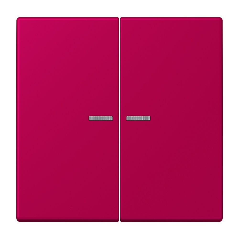 Jung Wippe mit Lichtleiter für Taster 2fach LC102KO5230