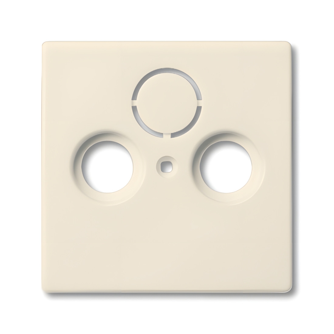 Busch-Jaeger Zentralscheibe 1743-82 Nr. 2CKA001724A2758