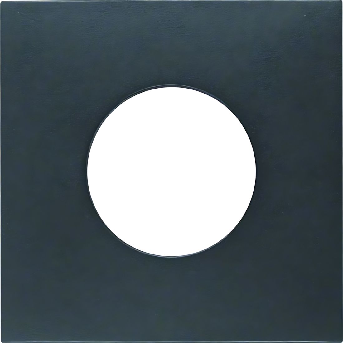 Berker Zentralstück 11241606