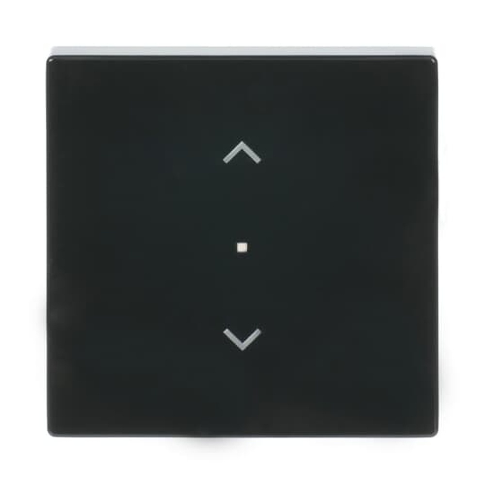 Busch-Jaeger Wippe 6232-10-81 Nr. 2CKA006220A0038