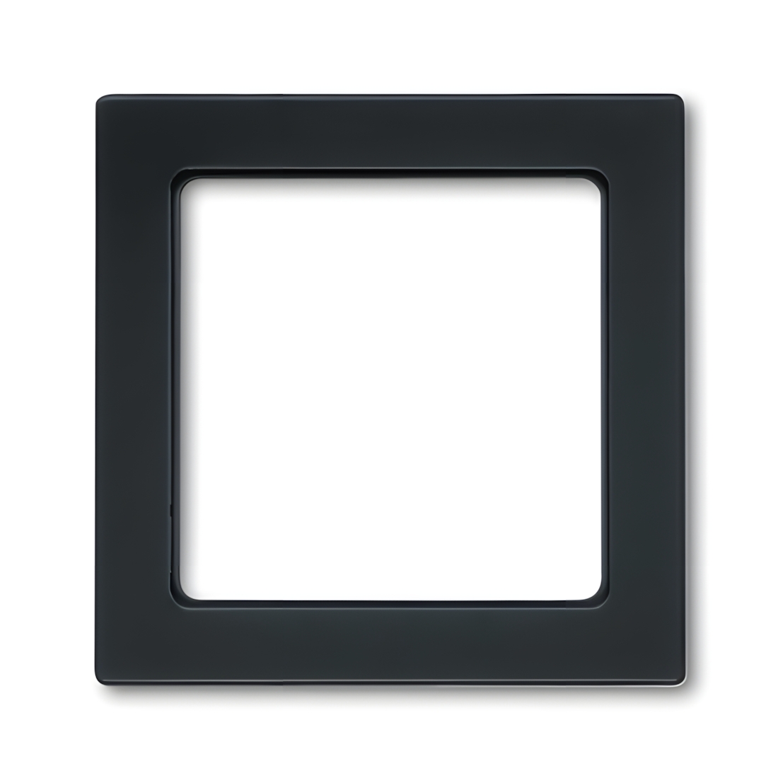 Busch-Jaeger Zentralscheibe 8251-81 Nr. 2CKA008200A0031