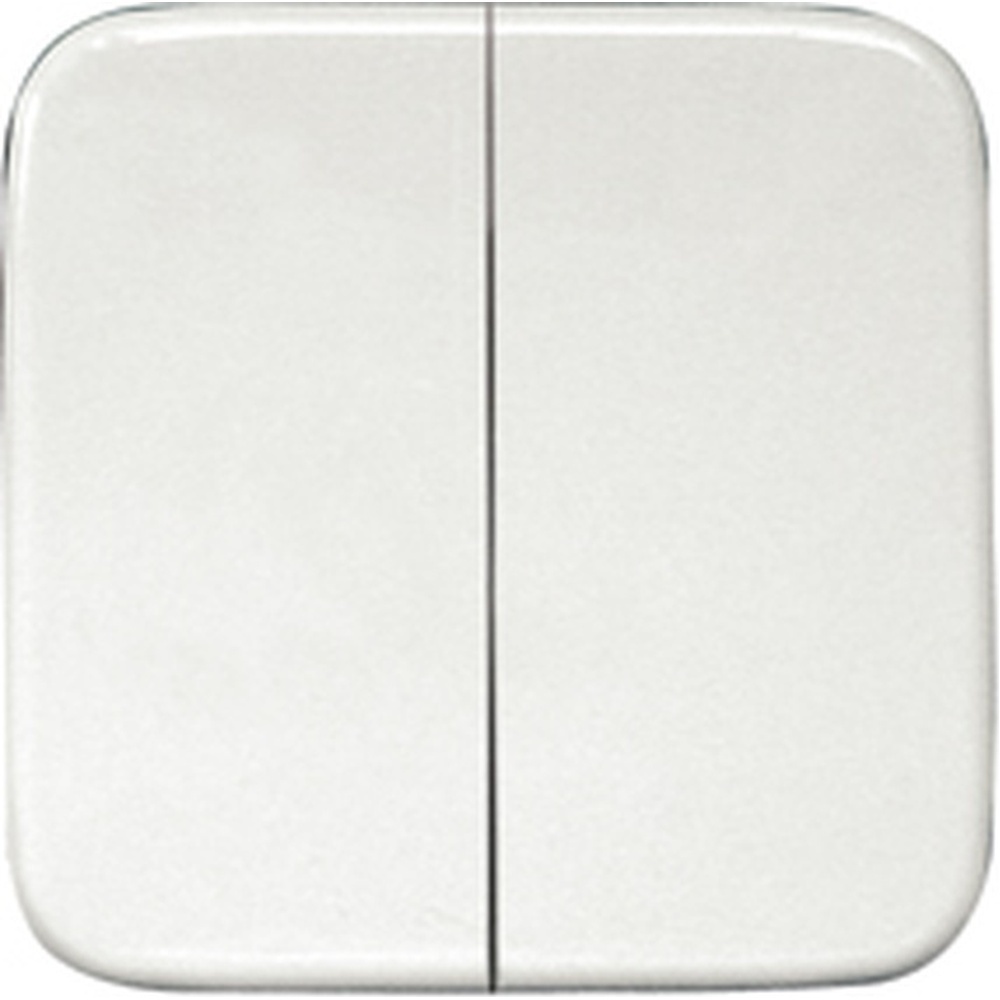 ELTAKO Doppelwippe 30000968 Typ DW-FT55R