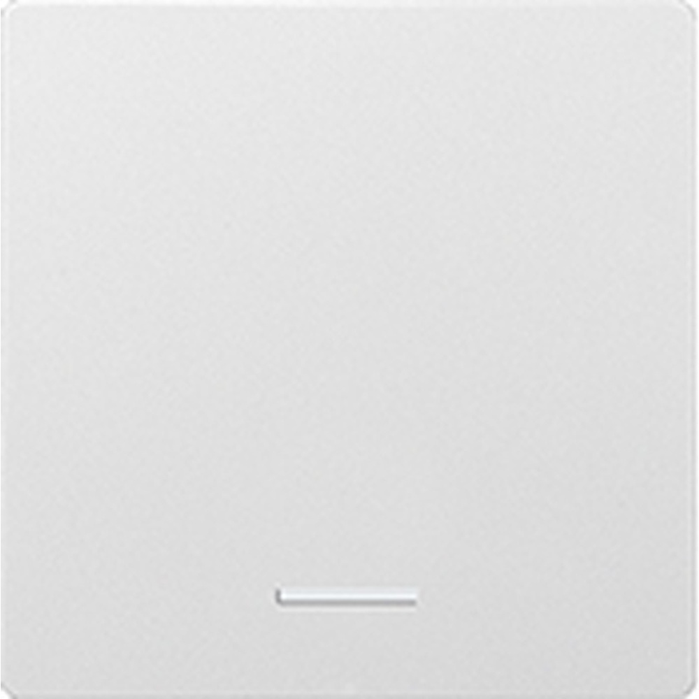 ELTAKO Wippe lasergraviert 30055949 Typ W-F1T55E-@