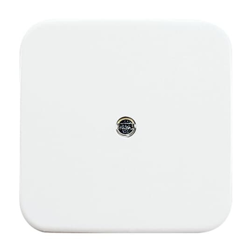 Busch-Jaeger Zentralscheibe 2536-214 Nr. 2CKA001724A0921