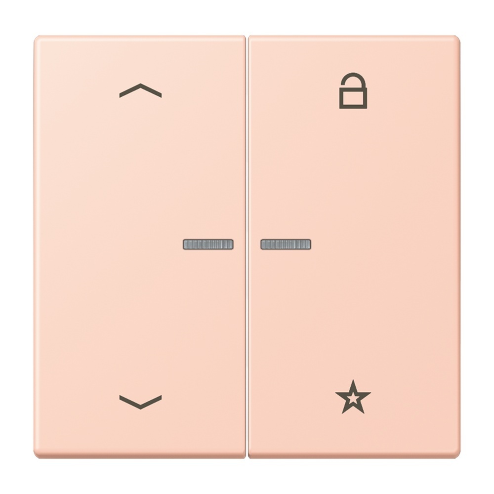 Jung Taster FMLC1701P234