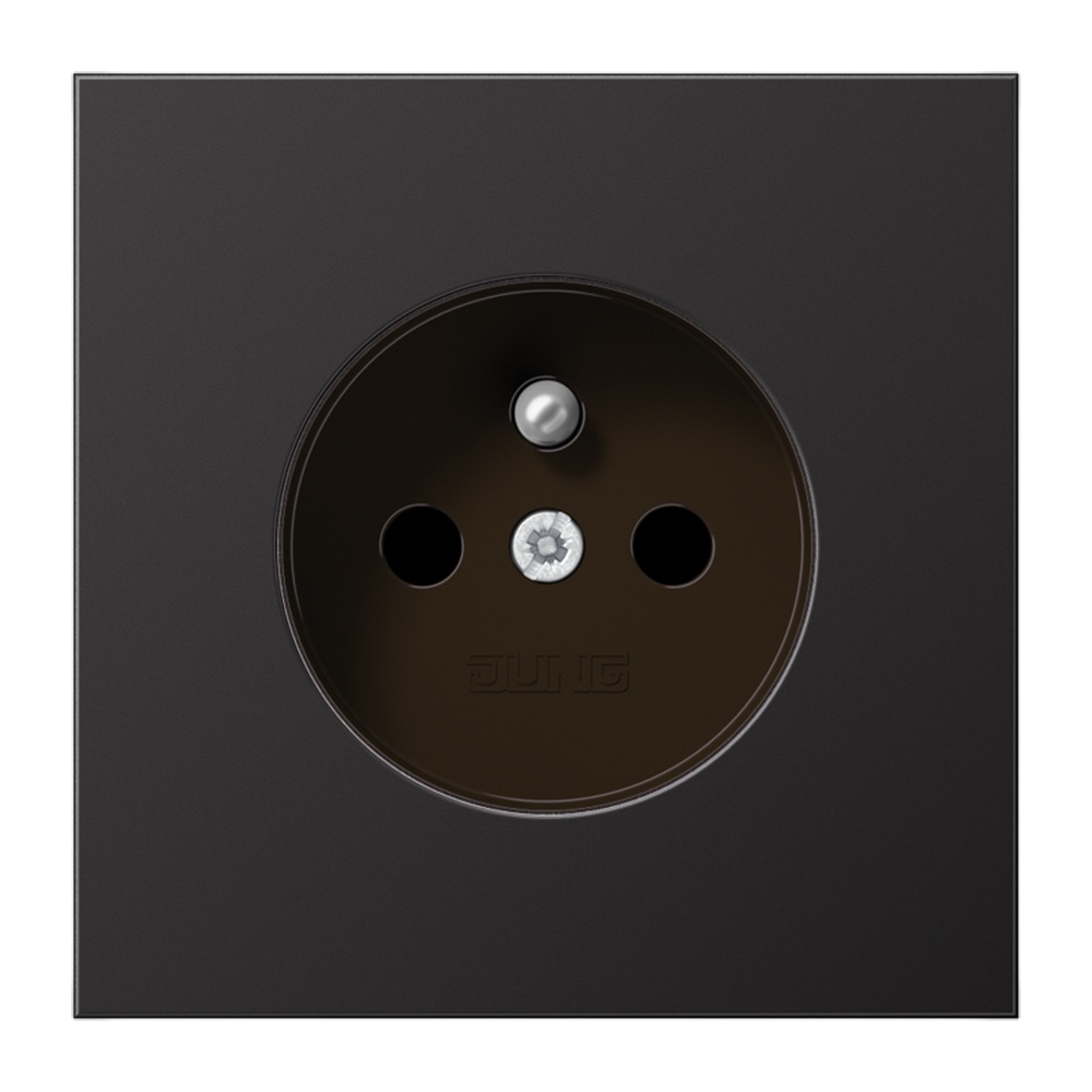 Jung Steckdose AL 1520 FKI D