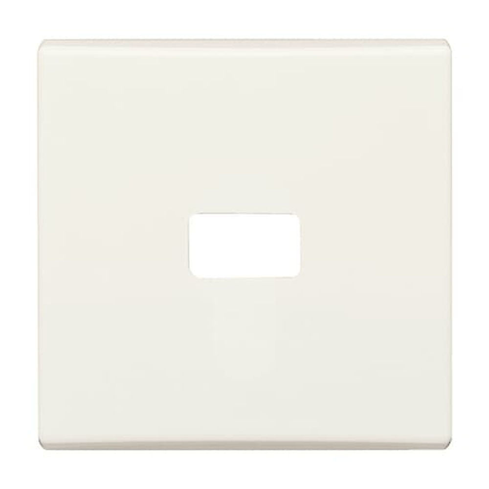 Busch-Jaeger Wippe 2120-32 Nr. 2CKA001731A1817