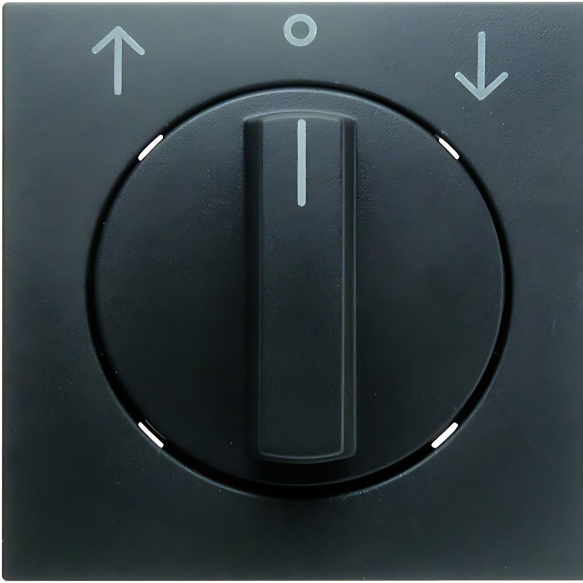 Berker Zentralstück m. Drehknopf 1080160600