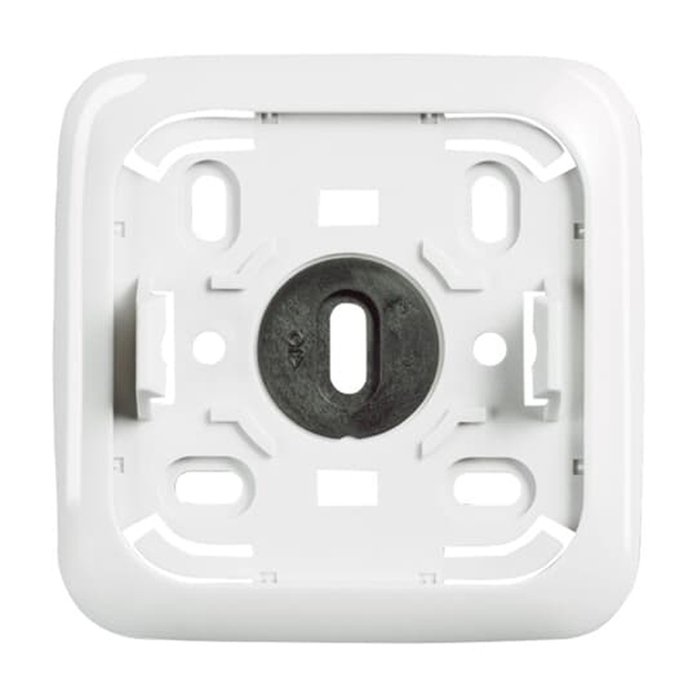 Busch-Jaeger Montageplatte 2609 APJW Nr. 2CKA002099A0265