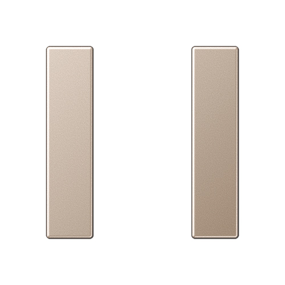 Jung Tastensatz 1fach A 501 TSA CH