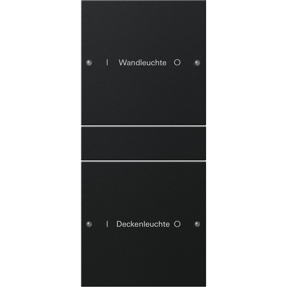 Gira Wippenset 2202005