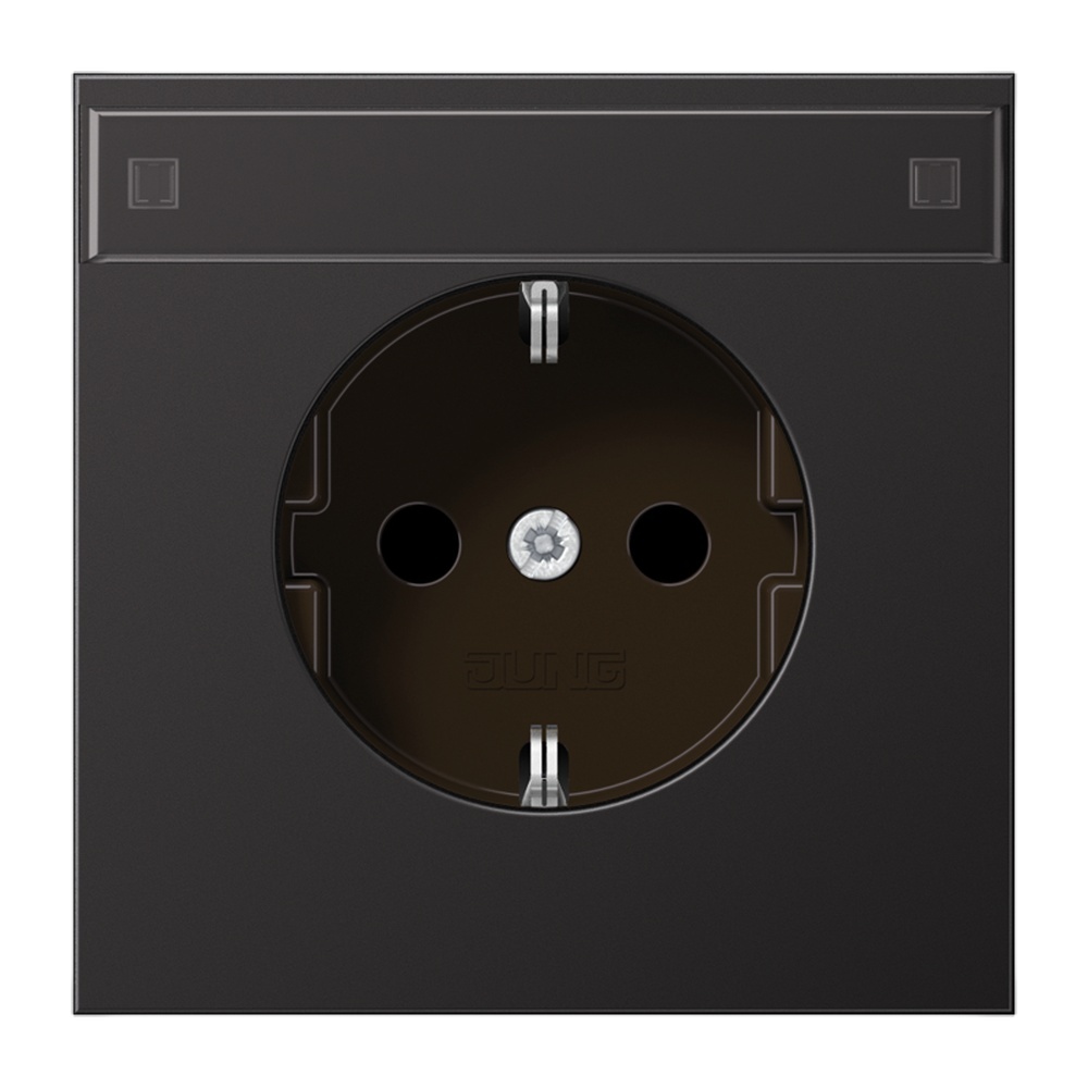 Jung Schutzkontakt Steckdose AL 1520 KINA D