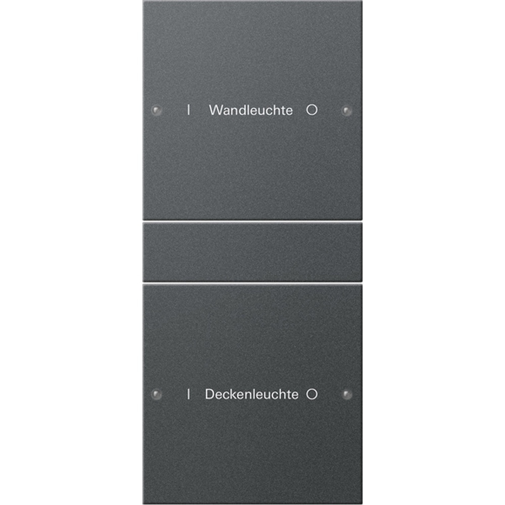 Gira Wippenset 2fach 220228