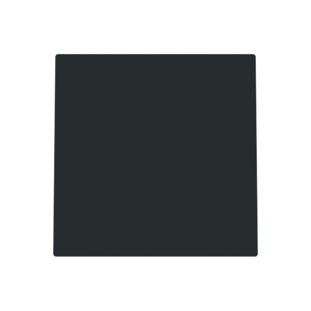 Busch-Jaeger Blindzentralscheibe 1749-45M Typ 2CKA001710A4251