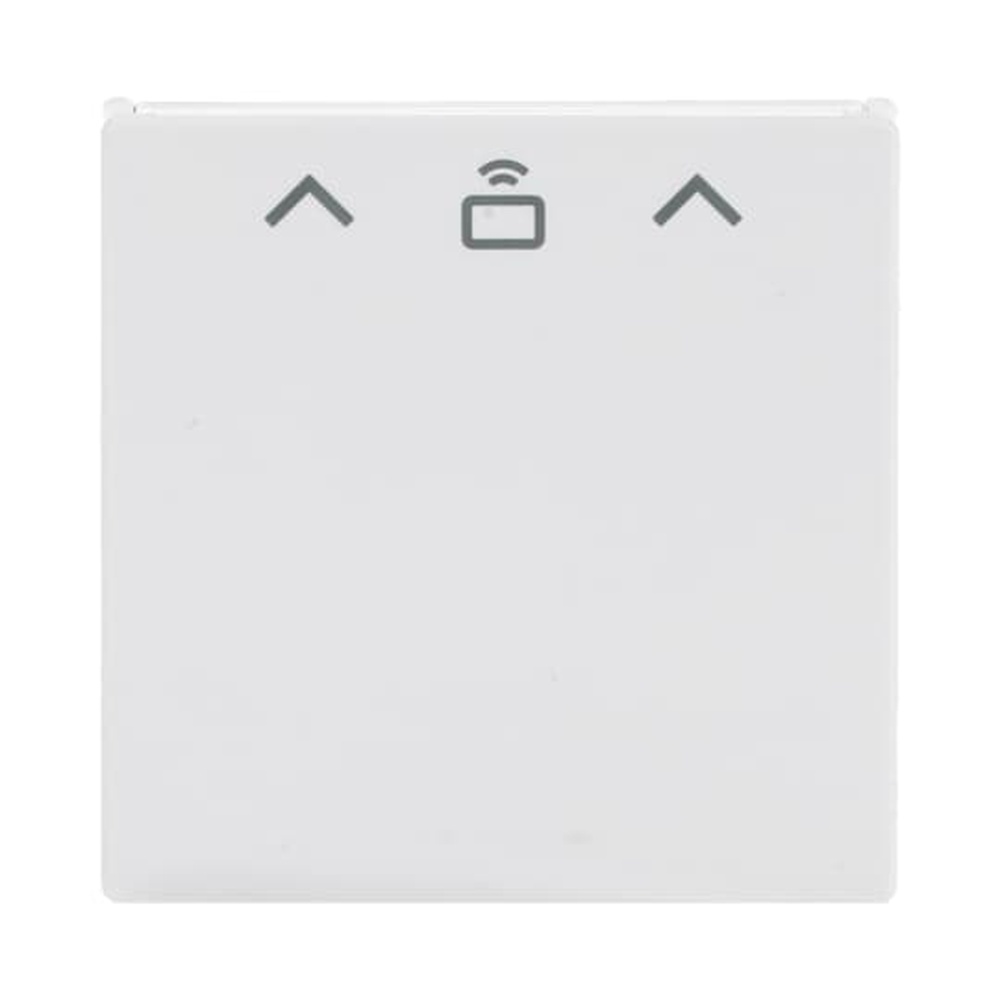 Busch-Jaeger Zentralscheibe Cardschalter 1792 RFID-84 Nr. 2CKA001710A4127